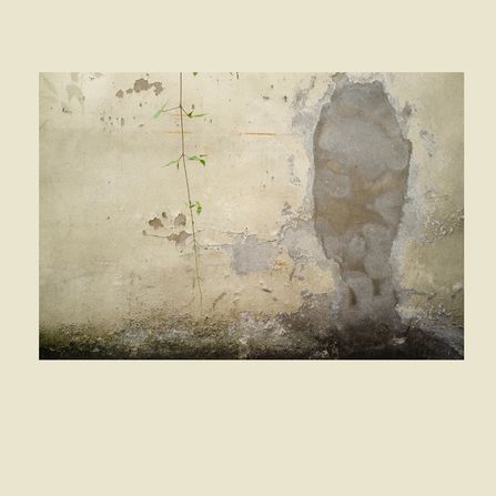 "Shadow, havebeens", Berlin