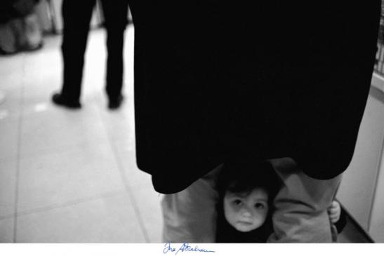 Shelter